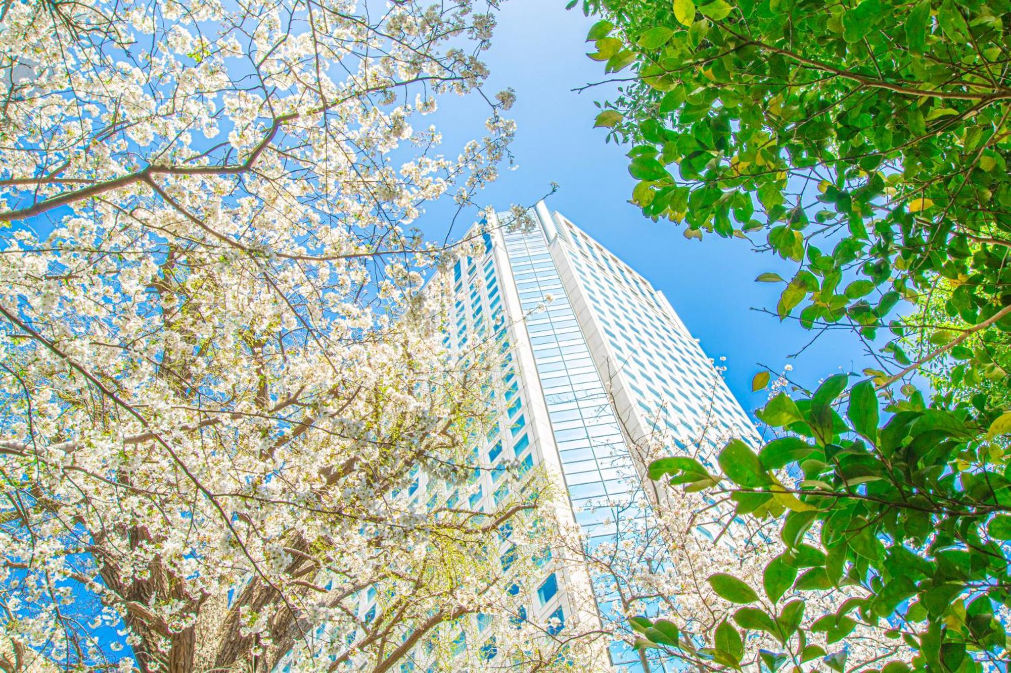 Shinagawa Prince Hotel Токио Екстериор снимка